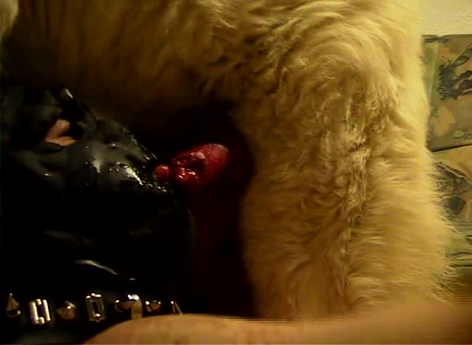 Video :Homemade dog sex with masked slut sucking dog dick