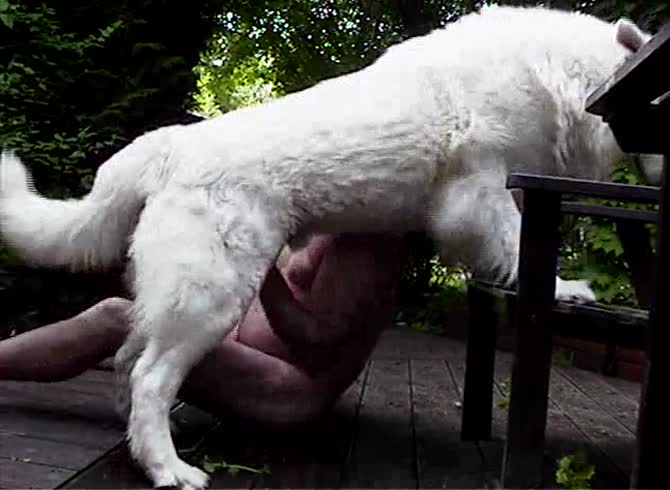 Video :Hot outdoor dog sex with lady and white dog