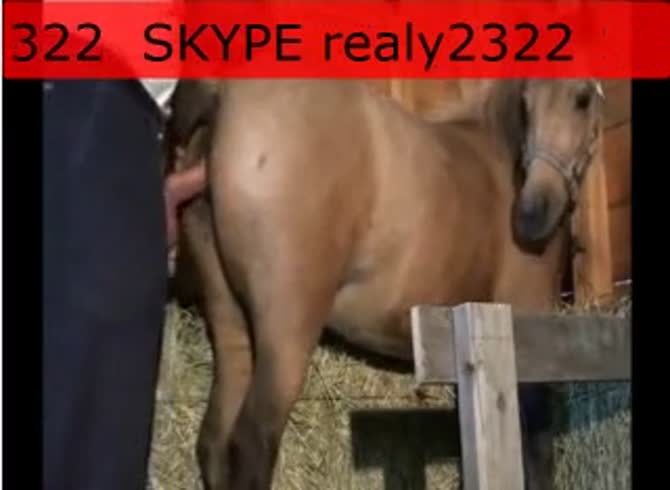 Video :Nasty dude fucking a mare in the pussy in horse porno