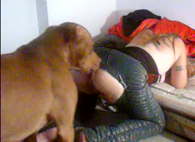 Video: Beautiful blonde babe enjoying dog oral sex before intense pounding