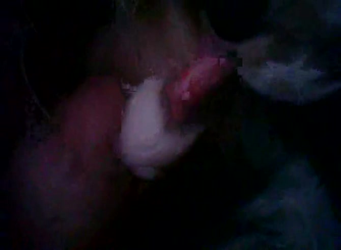 Video :Amateur beastie gal jacking off a dog dick