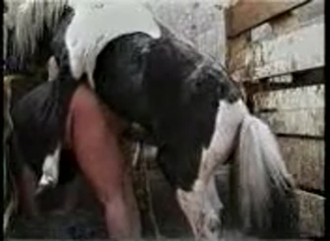 Video: Horse dick destroying the dirty ass of beastie gal