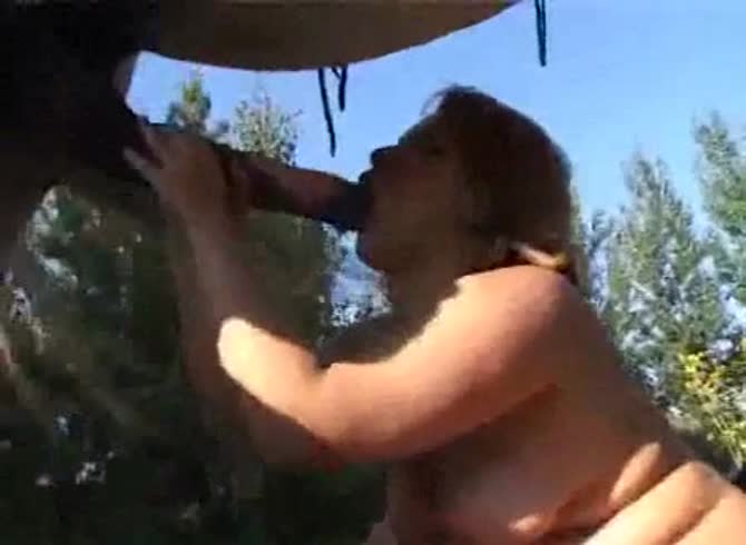 Video :Curvy babe giving blowjob to horse dick