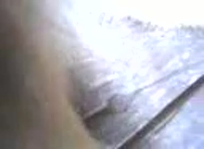 Video :Amateur slut playing with dog dick in zoofilia porn