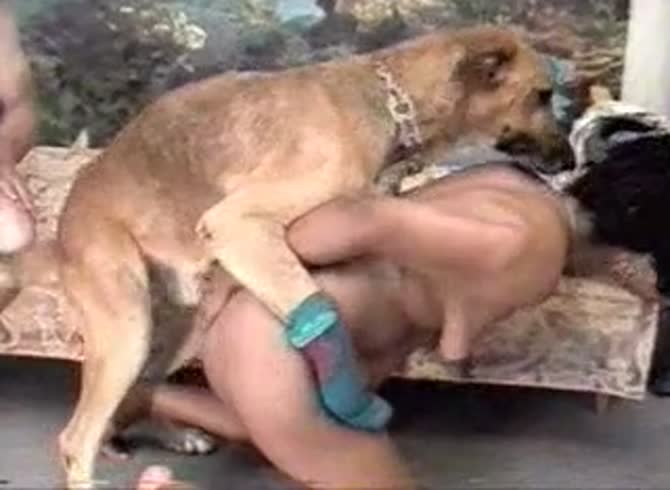 Video :Kinky couple having beastiality threesome sex with dog