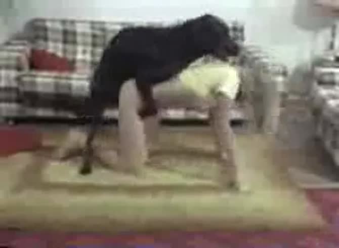 Video :Zoofilia porn tube of black dog fucking a skinny bitch