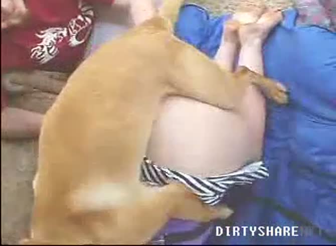 Video :Outdoor dog sex with blonde girl and her fat ass