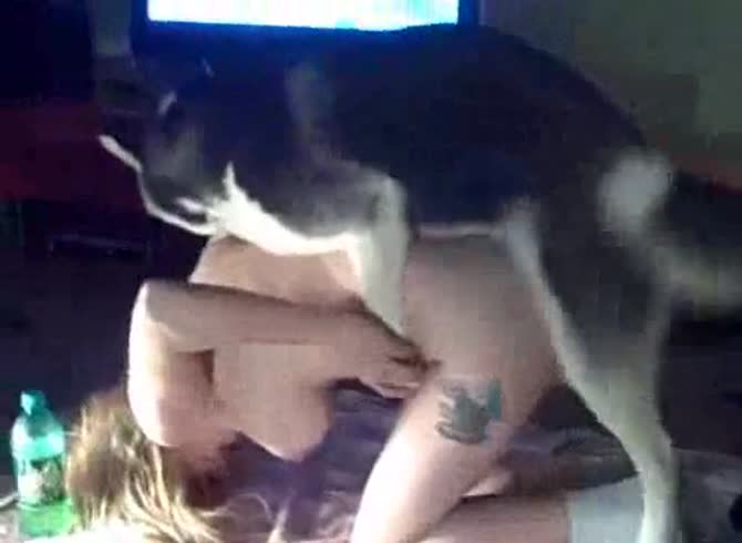 Video :Tatted chick enjoying dog dick inside her pussy