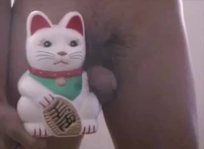 Video :Kinky dude fucking a toy cat with his dick