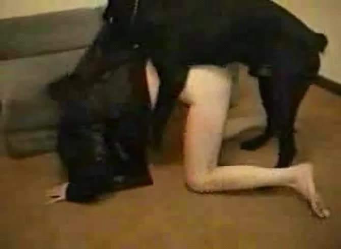 Video: Black dog's big hard dick fucking the zoopussy of white girl