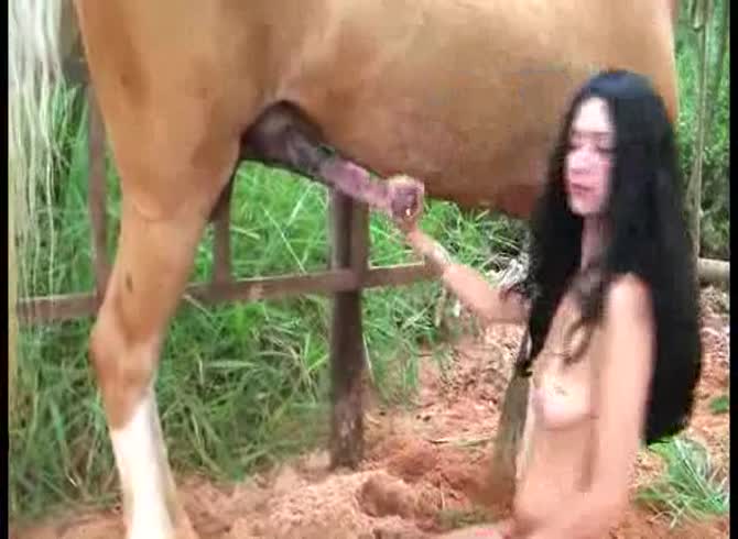 Video: Big stallion horse dick wrecking the ass of beautiful teen