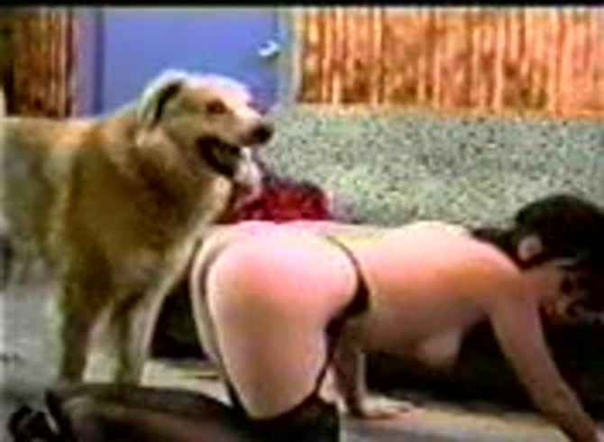 Video :Two lesbian babes having animal threesome sex with dog