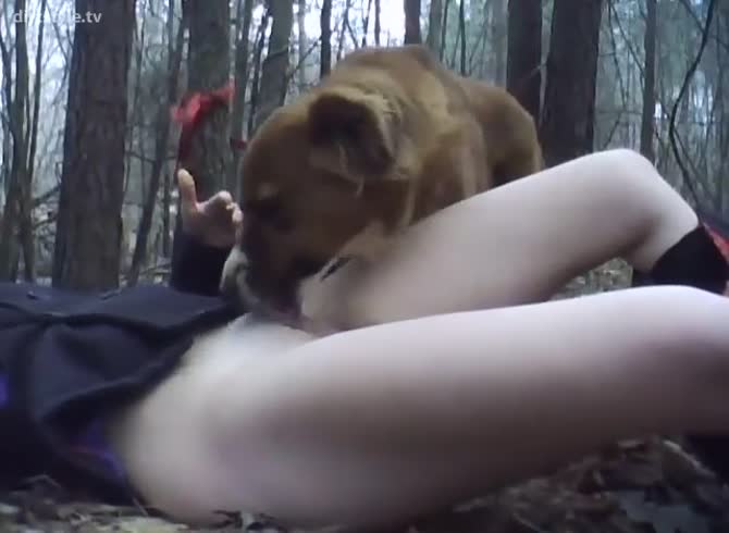 Video :Outdoor pussy eating dog porno with kinky girl