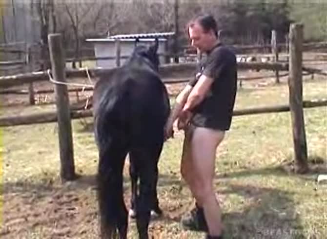 Video :Gay beastiality lover showing his dick to a horse