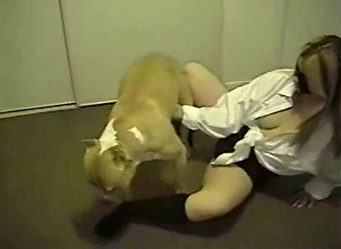 Video: Beautiful blonde with big tits getting fucked in the pussy by dog dick