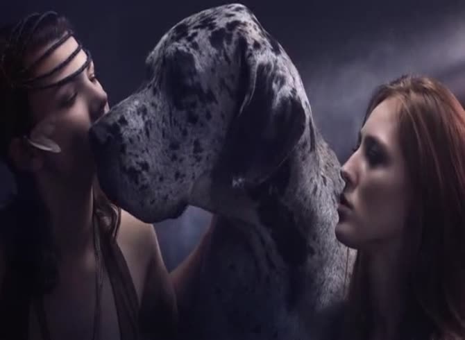 Video :Dog and lady kissing before having animal sex