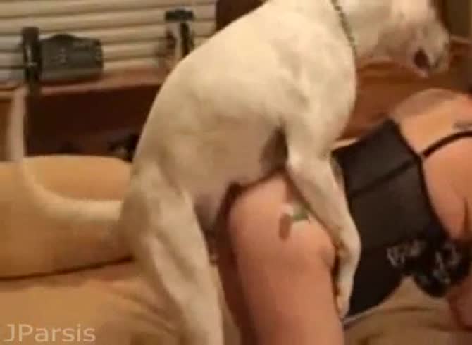 Video: Dog hard fucking a sexy beastie gal on the couch