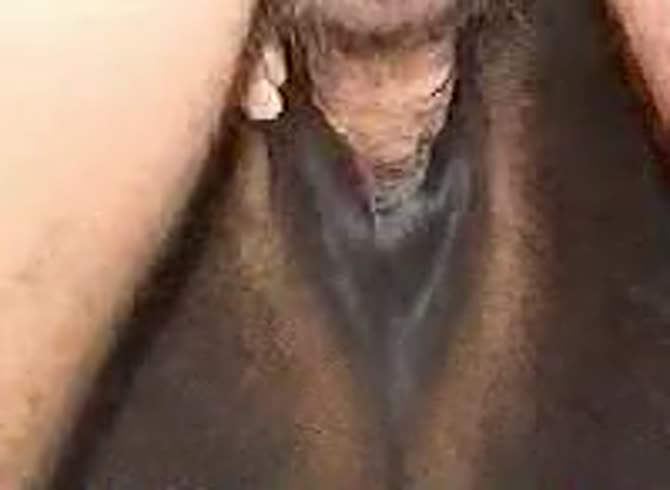 Video :Nasty dude fucking the pussy of mare in horse porno