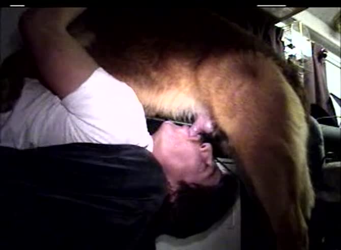 Video :Gay sucking dog dick while getting blowjob from dog