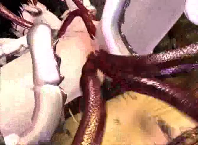 Video :Big octopus animal sex video with kinky girls