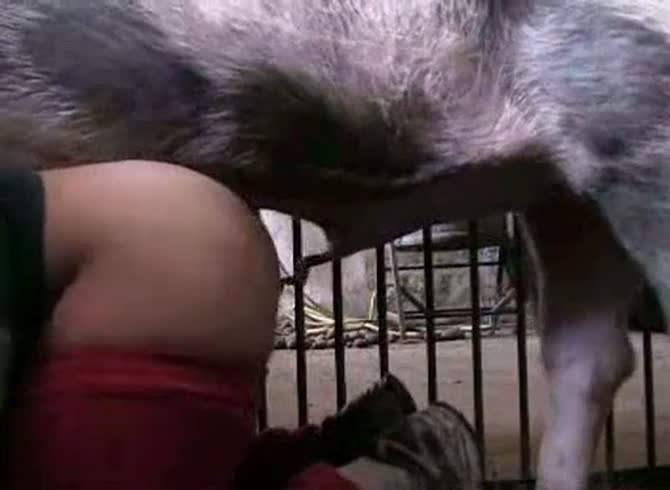 Video :Pig fucking a sexy slut from behind in pig porn
