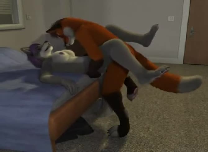 Video :Canine animals having sex on the bed in animal sex video