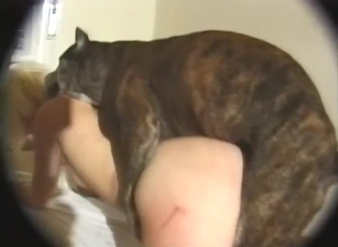 Video :Blonde beastie gal got banged by dog's hard dick