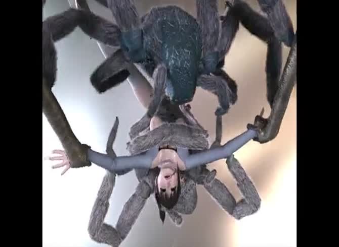 Video :Spider fucking a nasty chick in zoophilia porno