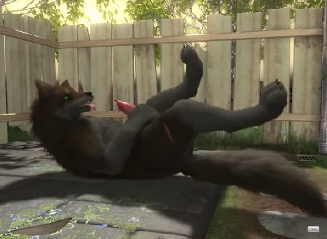 Video :Dog got so horny and jacks off his own dick in dog porno