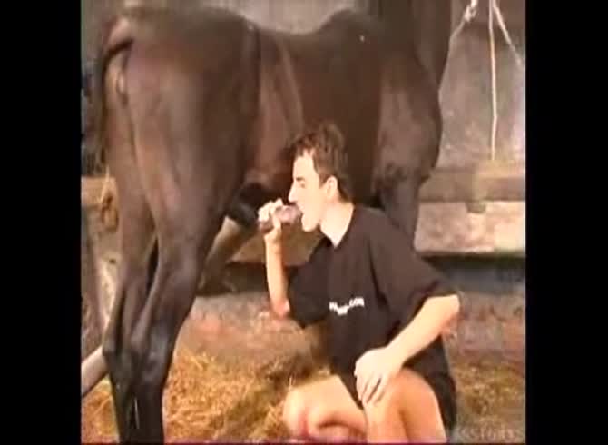Video :Animal porno of gay beastiality lover giving blowjob to horse
