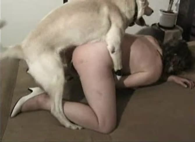 Video :Sexy girl enjoying big hard dog dick inside her pussy