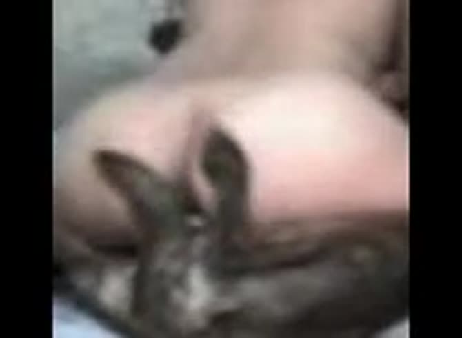 Video :Kinky bitch riding a dog's dick until dog orgasm