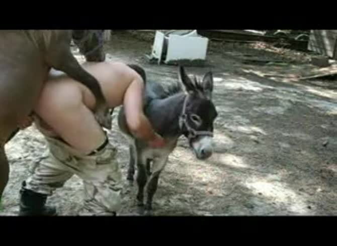 Video :Horse fucking a kinky lady from behind with horse dick