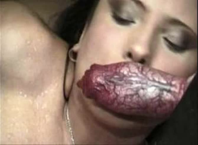 Video :Fat dog dick getting licked and sucked by beastie gal