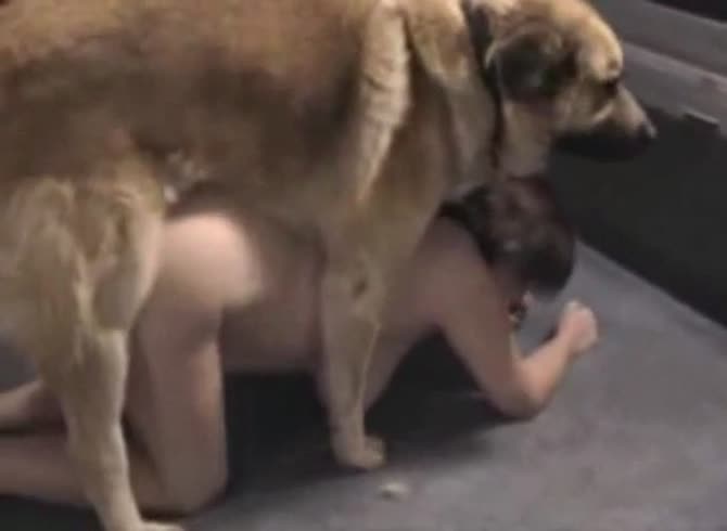 Video :Big dog dick fucking ladies in beastiality compilation