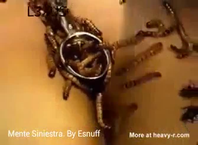 Video: Insect porn with slut getting her body full of insects