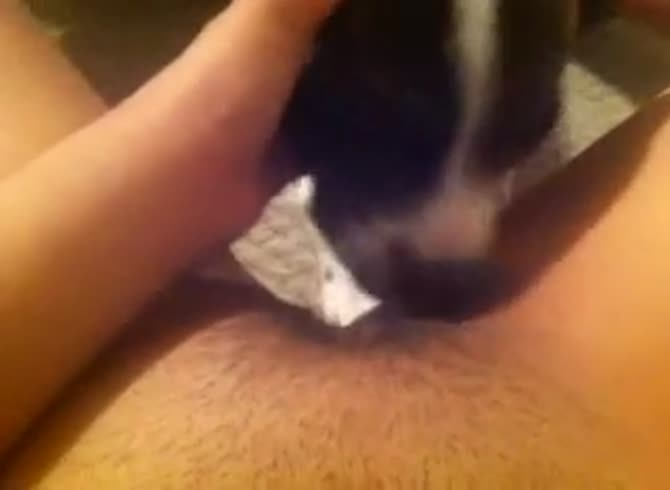 Video :Dog oral sex with kinky bitch enjoying dog's tongue