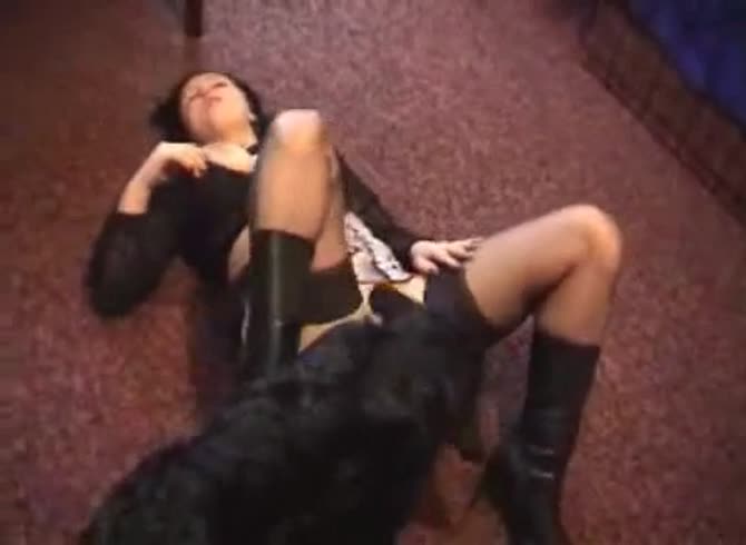 Video :Kinky girl laid down on the floor to get pleasured in dog porno