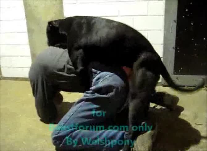 Video :Gay animal porno with dog fucking a gay's ass