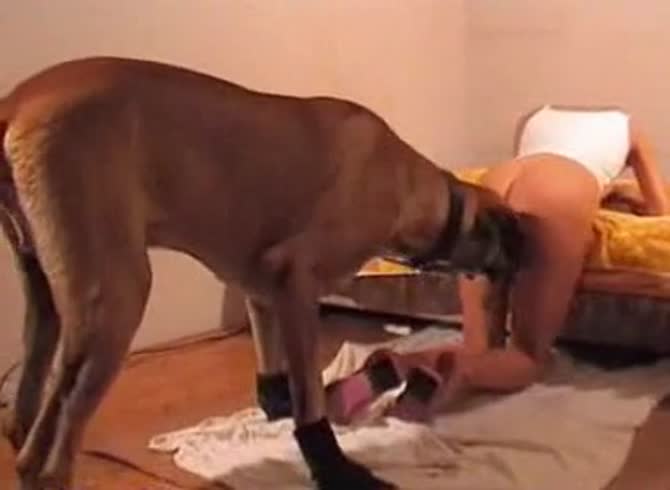 Video :Naughty blonde getting banged by a dog's big animal dick