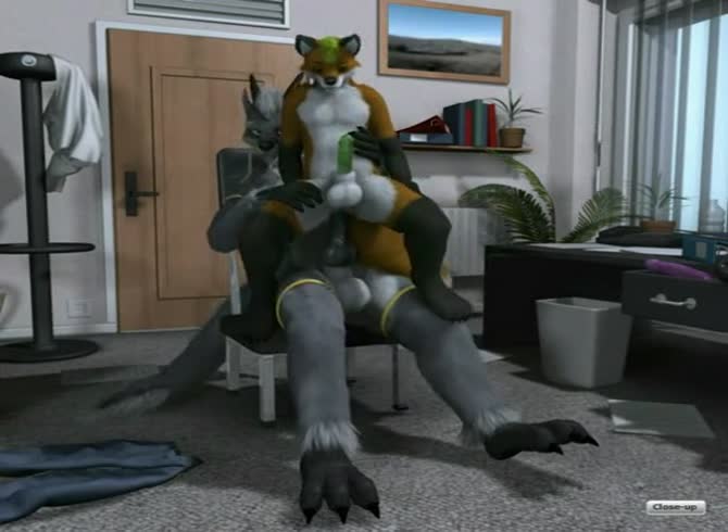 Video :Two dogs having sex in the office in animal porno