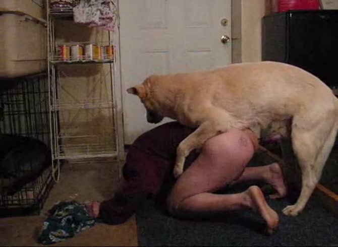 Video :Gay animal anal sex with a dog's big hard dick