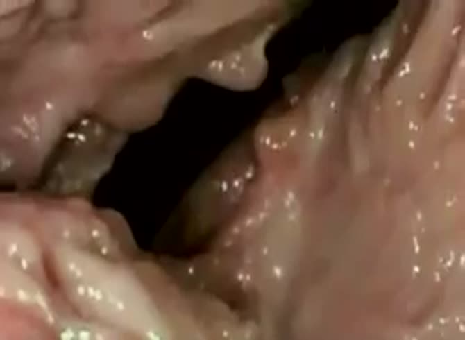 Video :Dog giving blowjob to a man's big cock