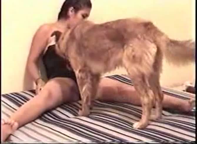 Video :Young teen animal sex with a brown dog