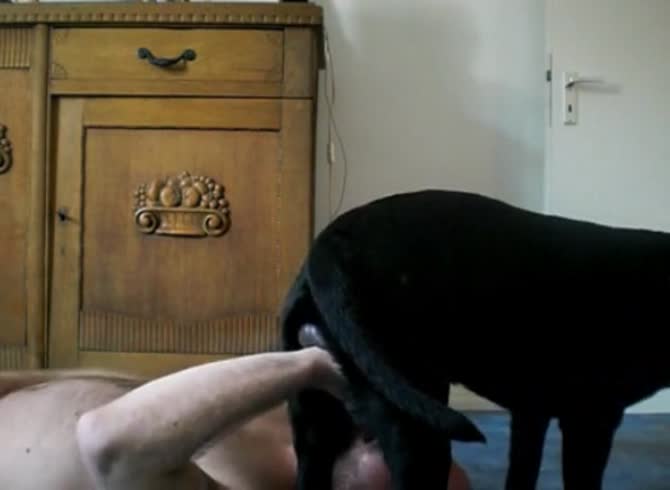 Video :Gay giving blowjob to dog in dog porn tube