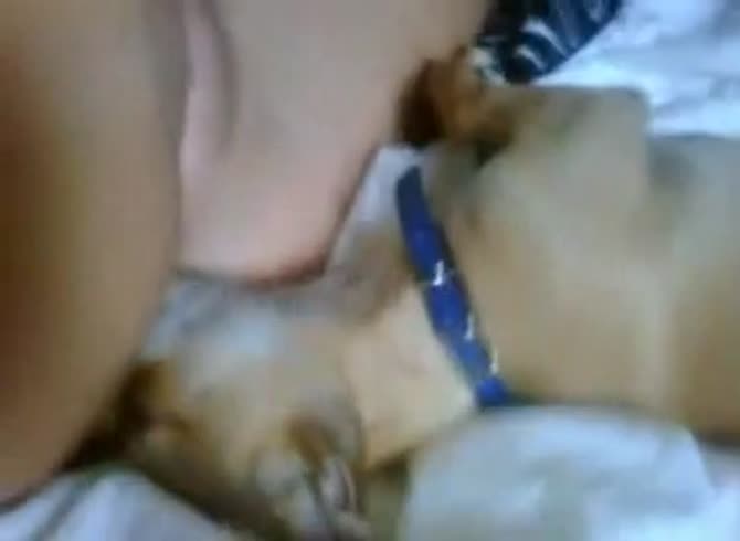 Video :Beautiful amateur teen beastiality sex with a dog