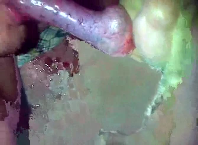 Video :Amateur dog porno with big dog dick and slut