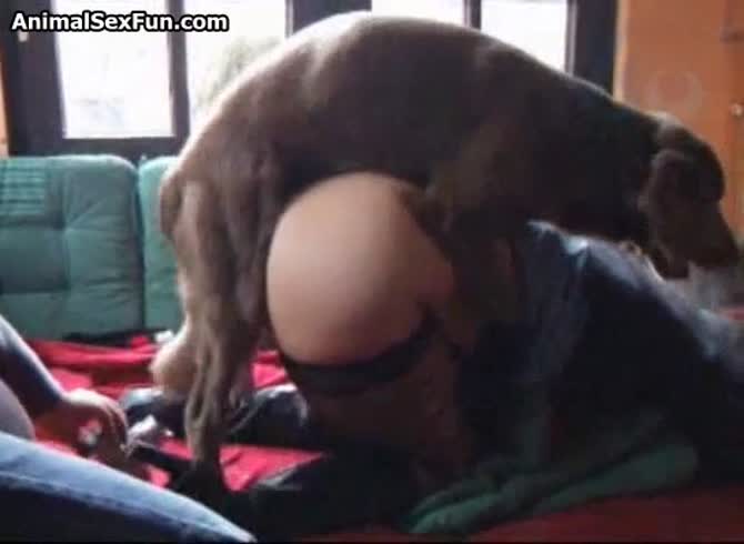 Video :Big ass whore got fucked by a nasty dog