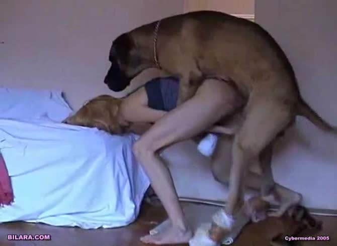 Video :Brown dog xxx hard fucking a sexy teen in the pussy