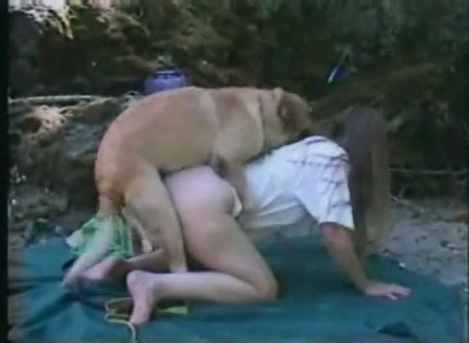 Video :Outdoor beastiality sex video with dog and girl